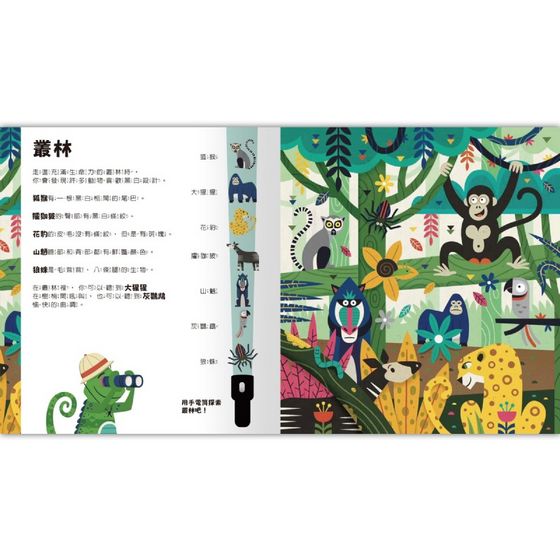 Spotlight！夜遊野生動物